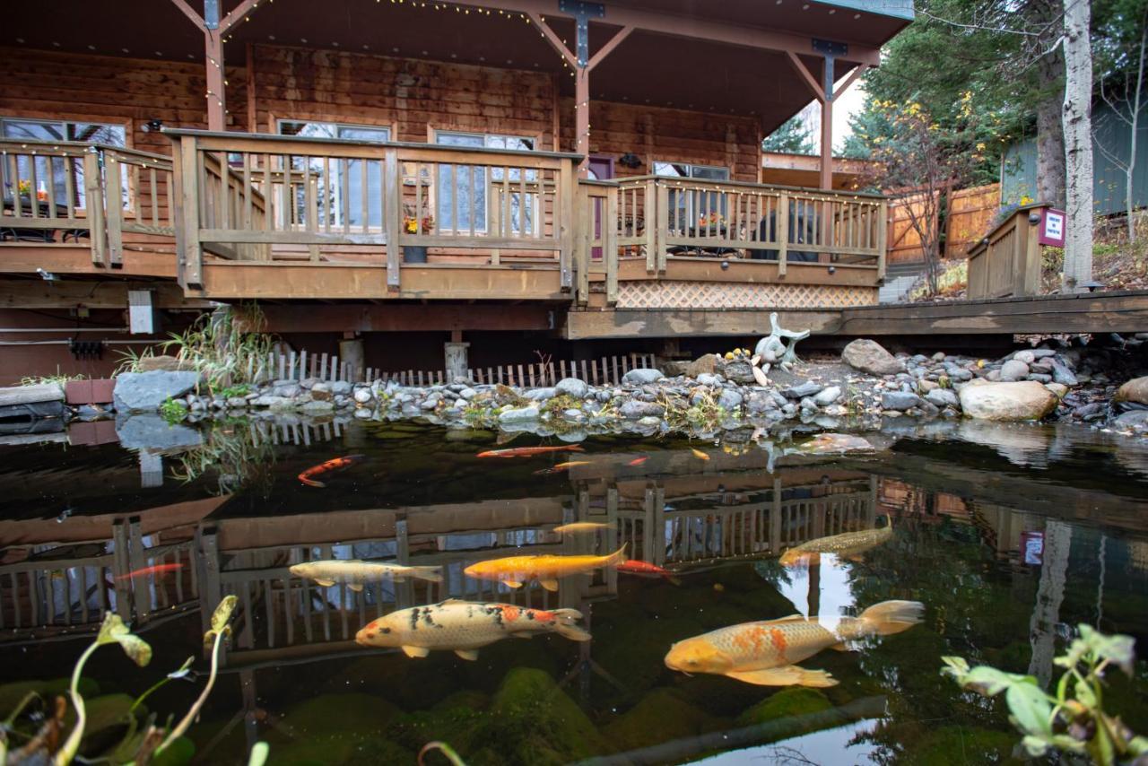לינה וארוחת בוקר הומר Bear Creek Winery And Lodging מראה חיצוני תמונה